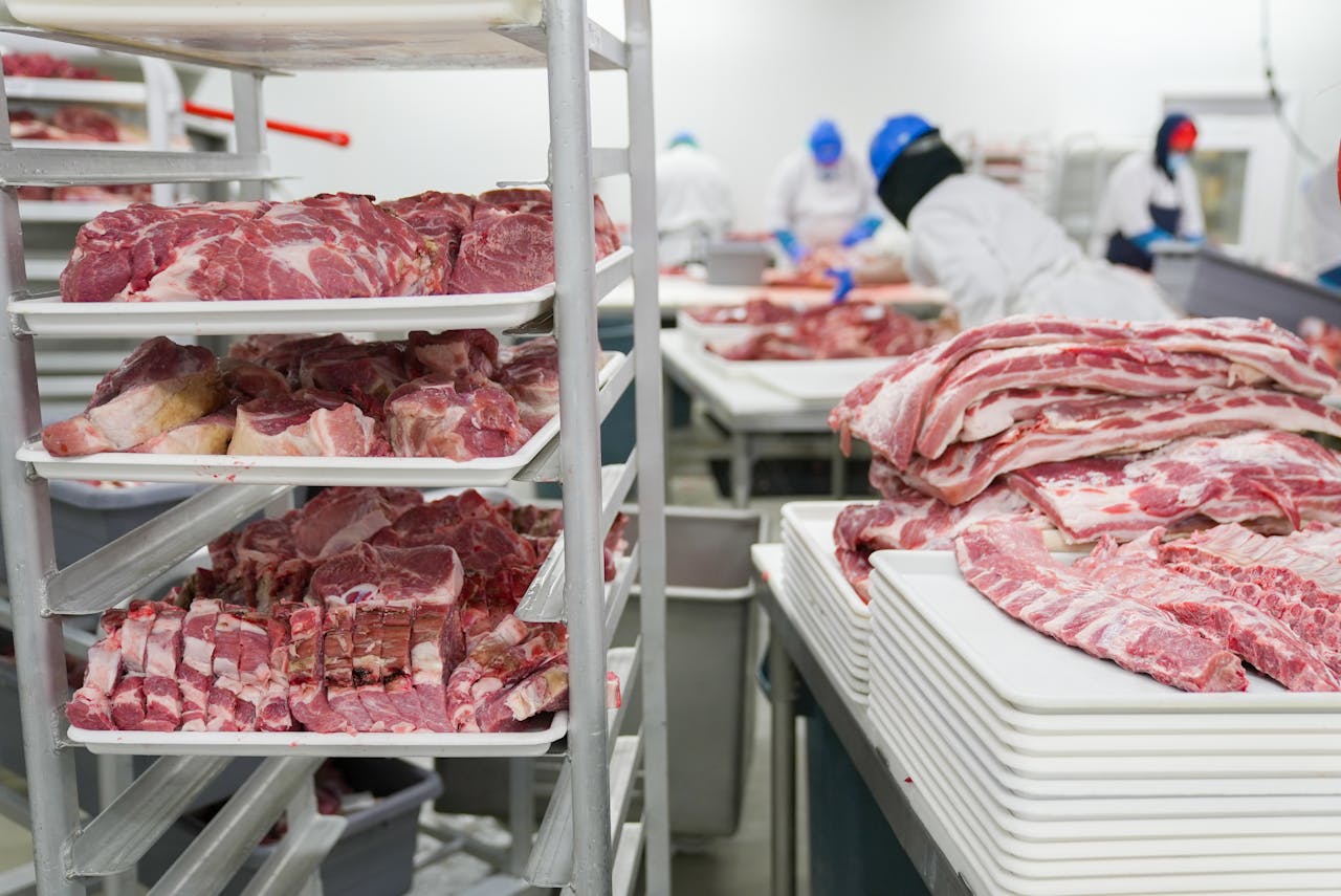 Lamb Cuts